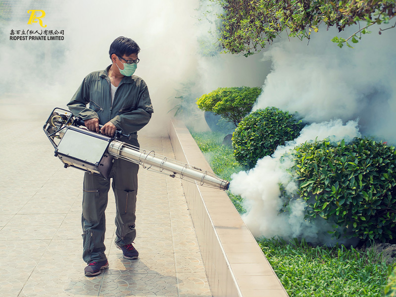 pest control services