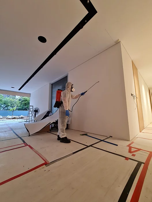 disinfection-homes-3