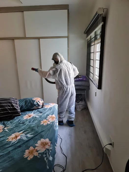 disinfection-homes-4