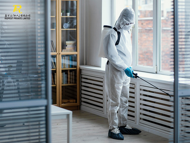 Guide to Selecting the Right Pest Control Company for Your Needs 5 Customer Service Pest control companies in Singapore