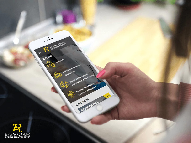 Guide to Selecting the Right Pest Control Company for Your Needs