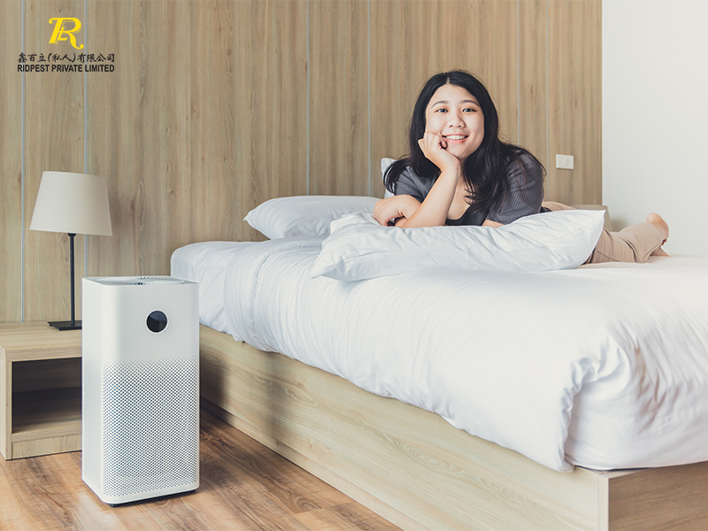 Humidification-Air-In-Apartmen