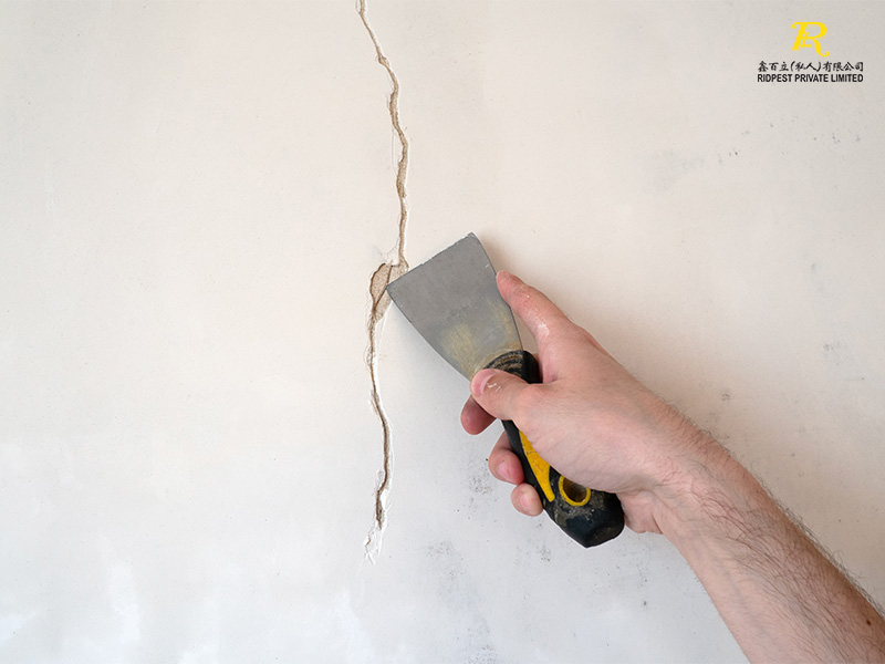 Integrating Pest Control Into Your Daily Routine 5 Sealing-Cracks-at-Home