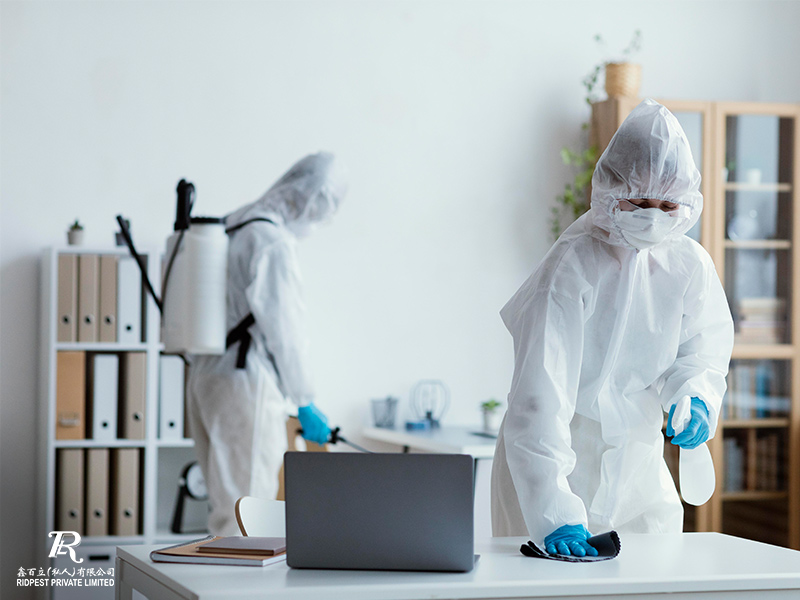 The-Importance-of-Pest-Control-Amidst-Covid-19-in-Singapore