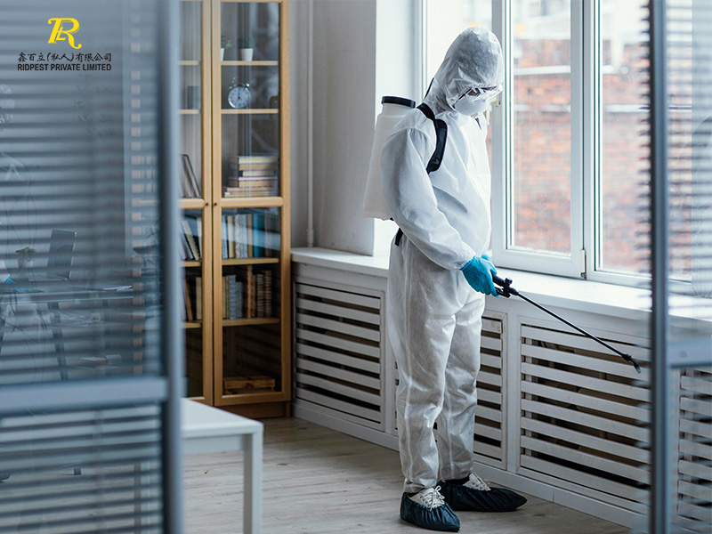 X-Reasons-to-Hire-a-Pest-Control-Company-for-Your-Commercial-Property