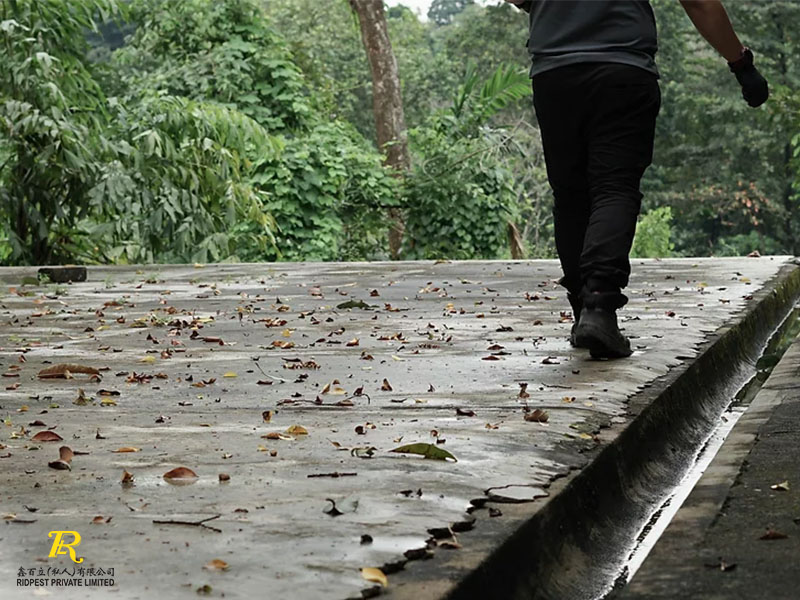 commercial-pest-control-man-waking