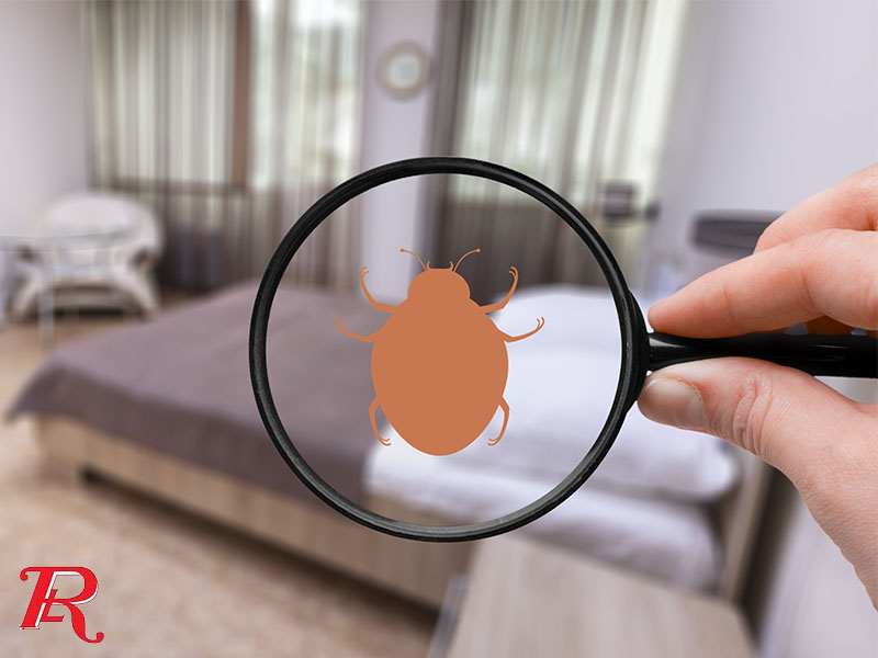 looking-for-pest-control-services