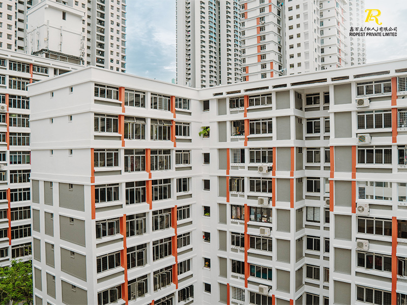 the-importance-of-pest-control-for-condominiums-in-singapore