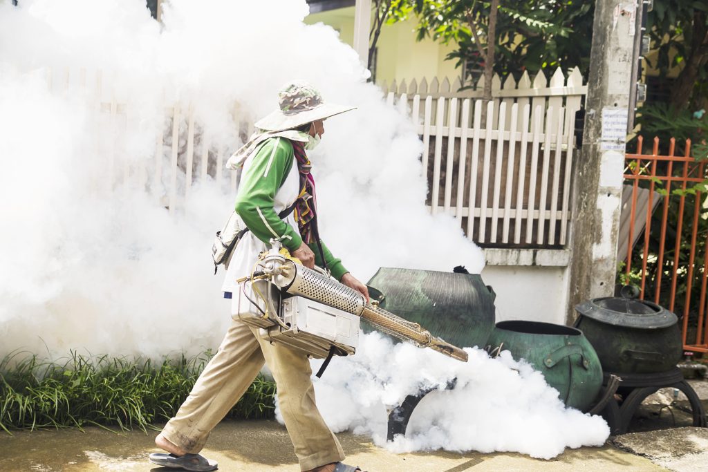 Causes of Flying Termites and How to Get Rid of Them 1 how to get rid of flying termites